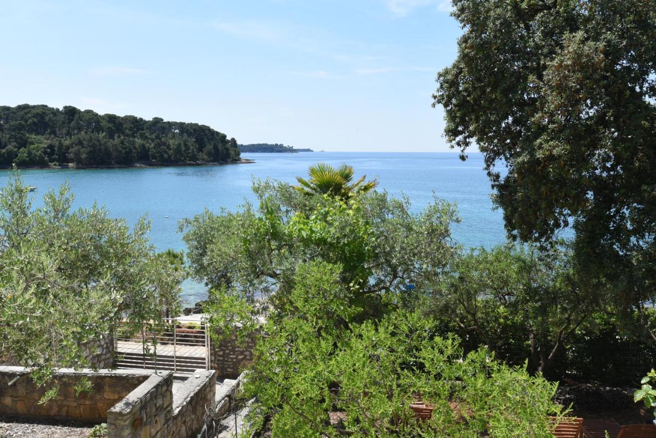 Buric House - Apartments Klasik And Studio Mini Rovinj Exterior foto